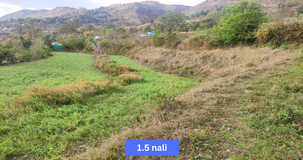 Buy Now 1.5 nali Jameen Near Naukuchiyatal, Bhimtal