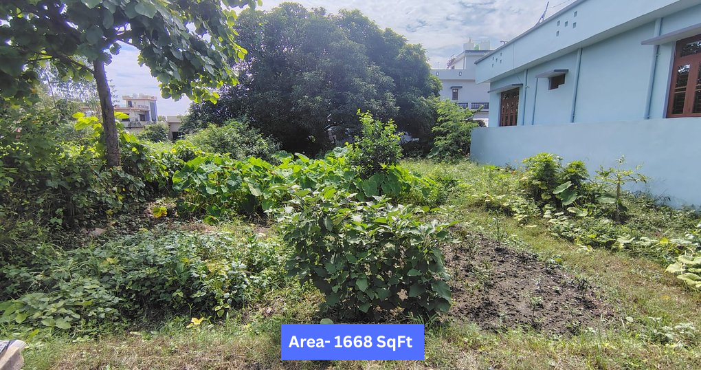 Buy Now 1668 SqFt Land Near Phoolchaur Road, Haldupokhra