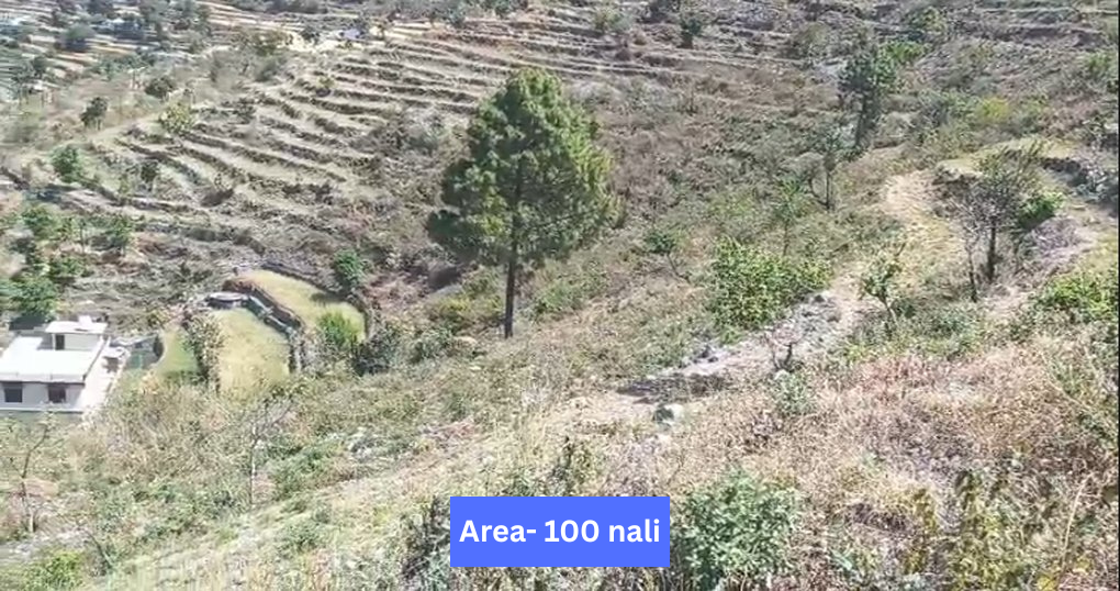 Buy Now 100 Nali Land Near 70 km away from Haldwani